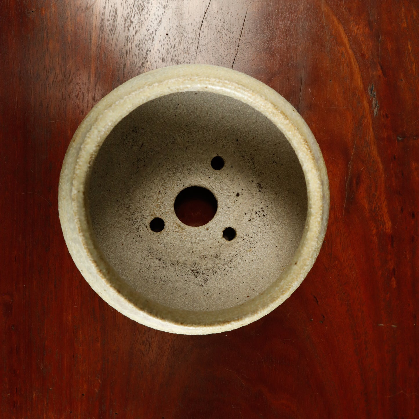 Denise Allen Vase Style Pot