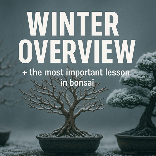 Winter Class 1 - Early Winter Overview