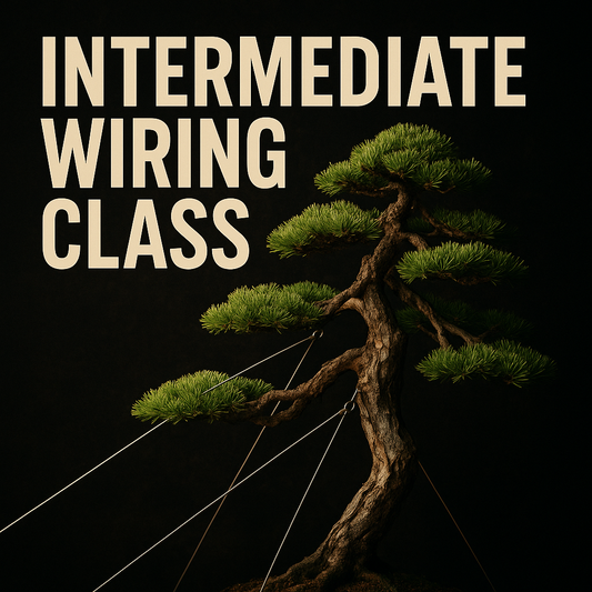 Summer Class 4 Live Replay Digital Download - Intermediate Wiring