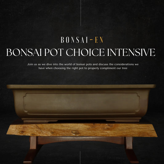 Autumn Class 2 - Pot Choice Intensive