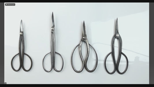 Winter Class 5 - Bonsai Tools