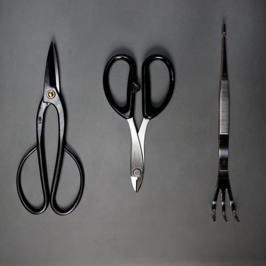 Beginner Bonsai Tool Kit