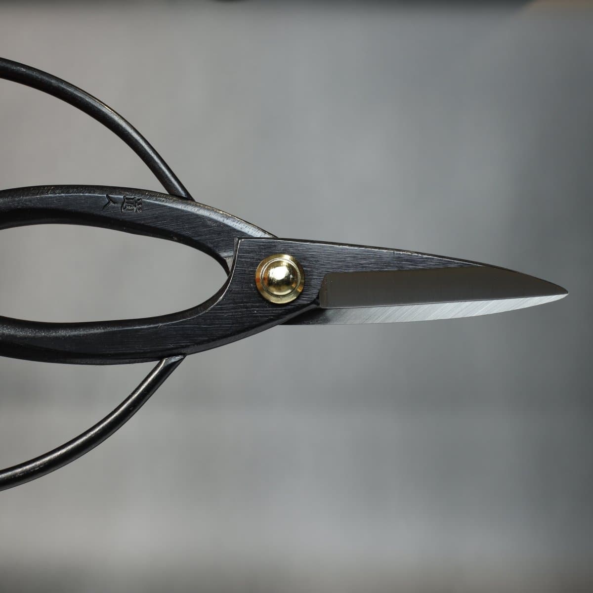 Root Scissors closed blade