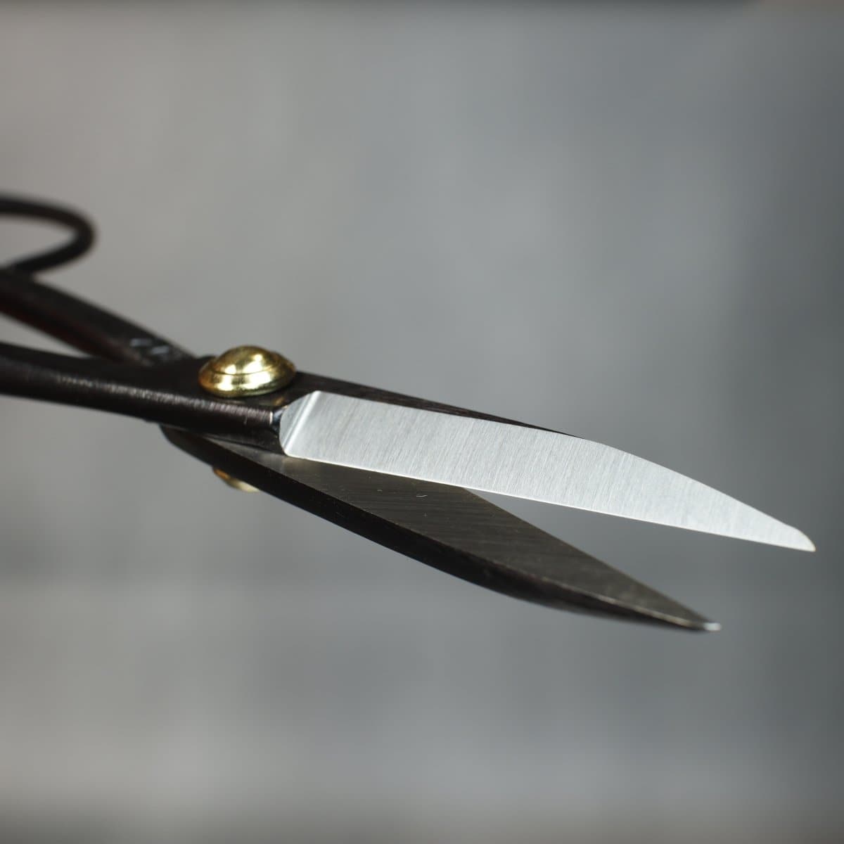 Bonsai Scissors blade