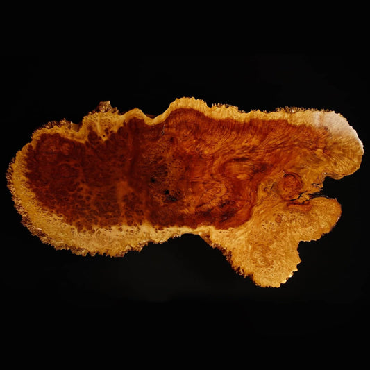 Display Jita - Australian Hardwood Burl #2