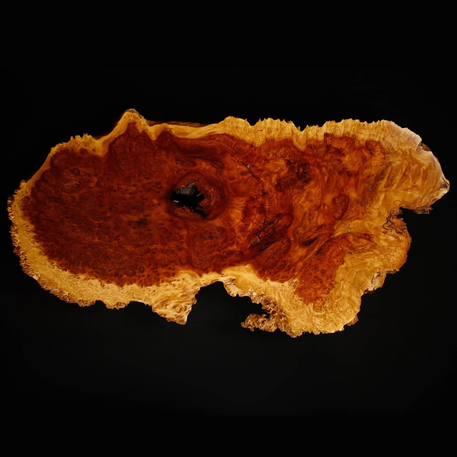 Display Jita - Australian Hardwood Burl #3