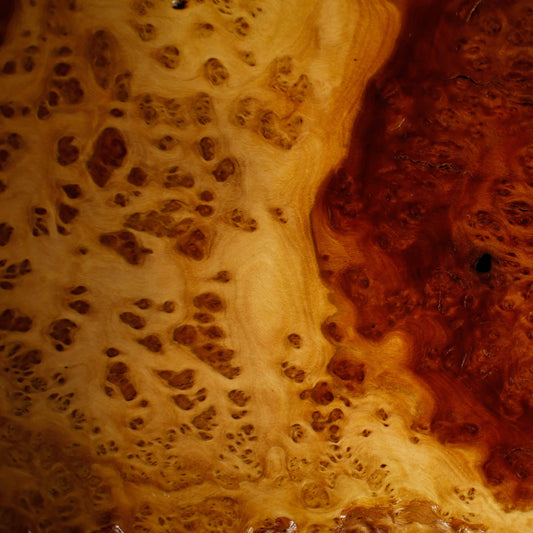 Display Jita - Australian Hardwood Burl #1