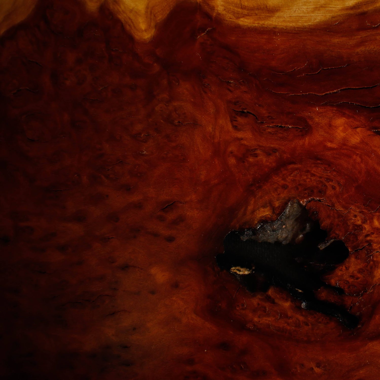 Display Jita - Australian Hardwood Burl #3