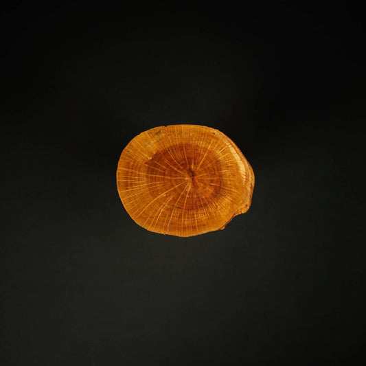 Bonsai Display Jita - Oval Freeform #2