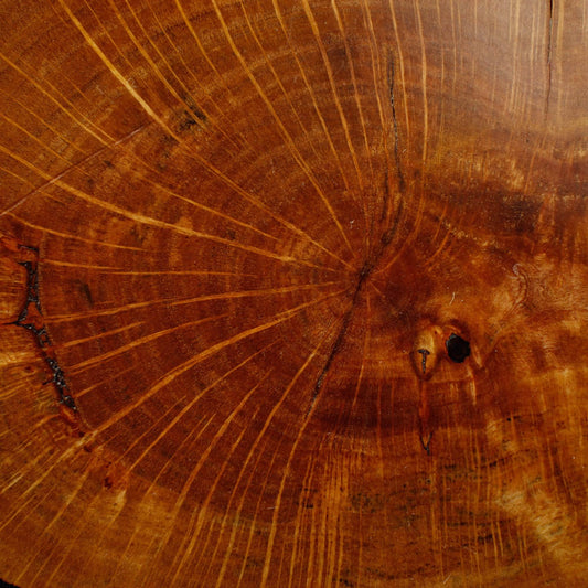 Bonsai Display Jita - Oval Freeform #3
