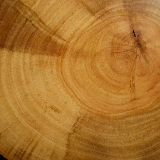 Bonsai Display Jita - Round Free Form 12cm Natural Colour