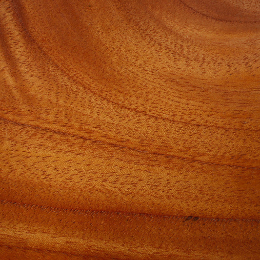 Bonsai Display Jita - Square With Natural Edge 15cm