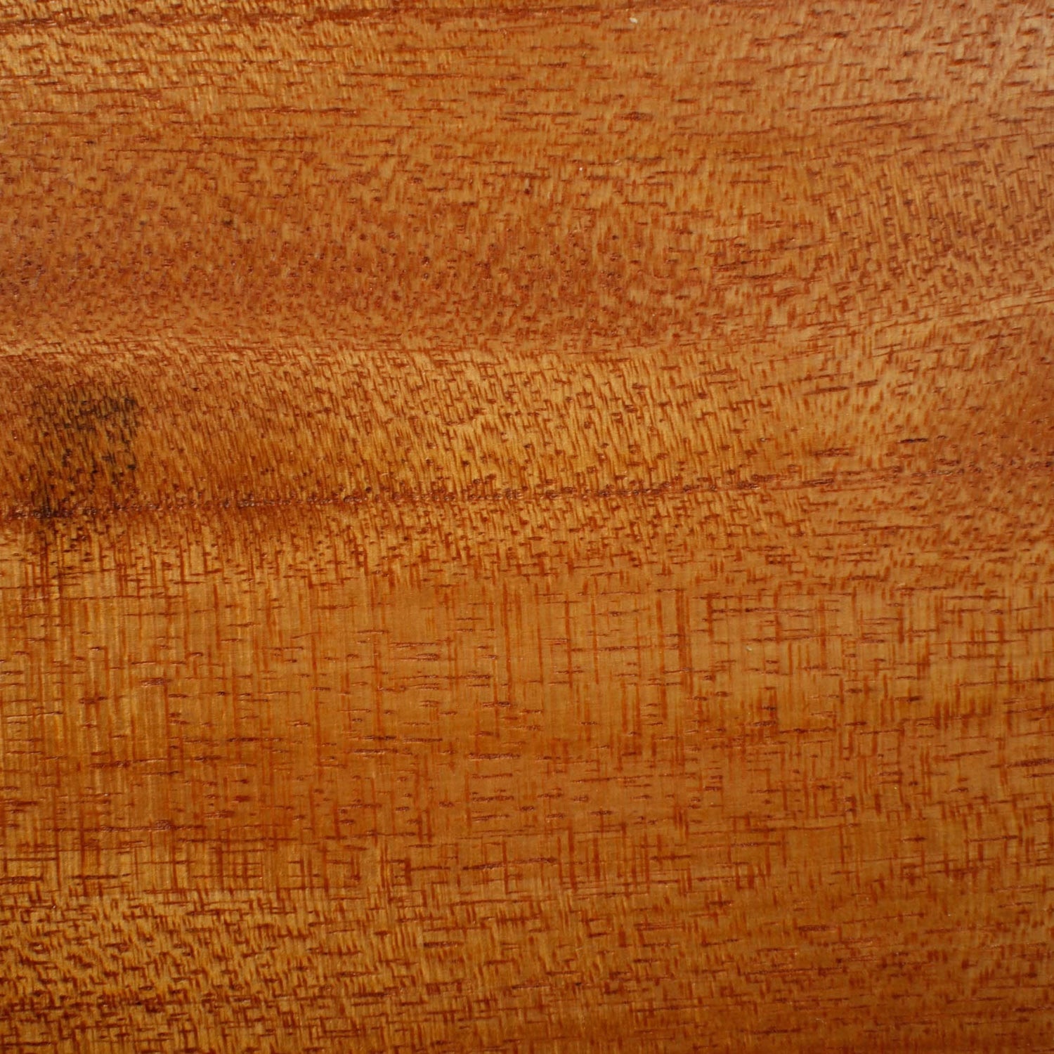 Bonsai Display Jita - Rectangle 11x20cm