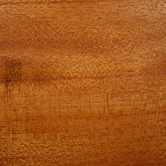 Bonsai Display Jita - Rectangle 11x20cm