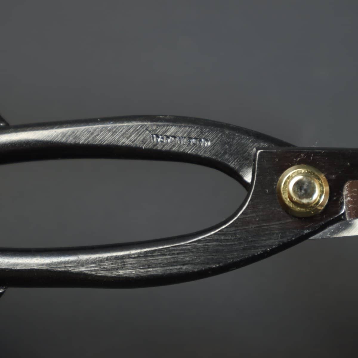 Beginner Bonsai Tool Kit