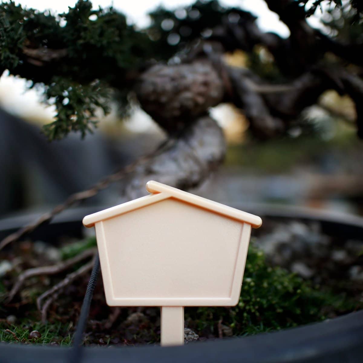 Bonsai Tree Label ( House )