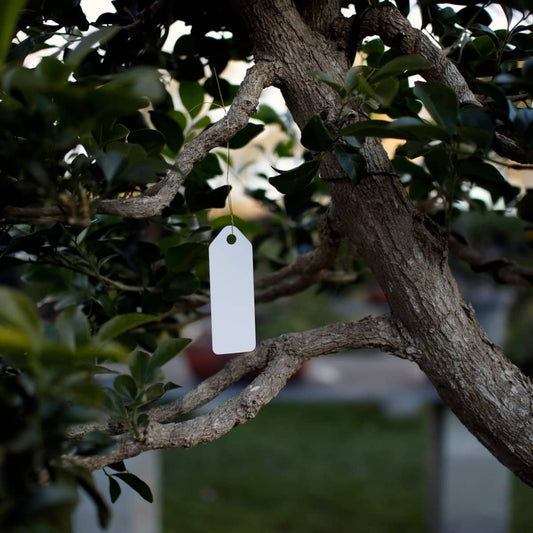 Bonsai Tree Label ( Hanging )