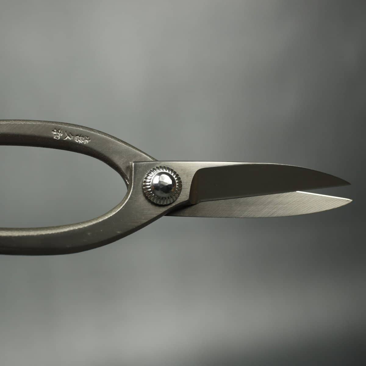 Kikuwa 200mm Fluorine Nickel Plated Bonsai Scissors