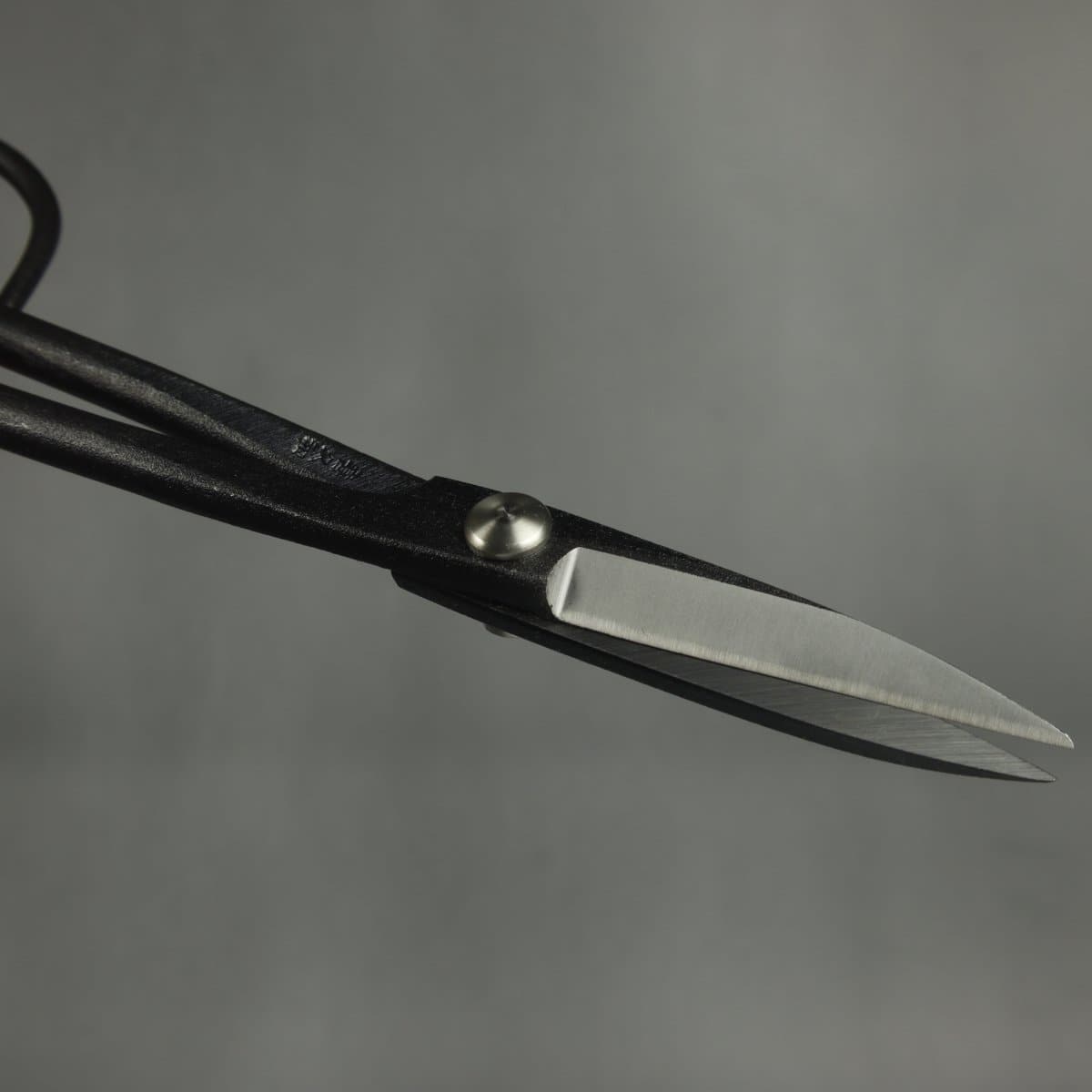 Craftsman Professional Bonsai Scissors blades