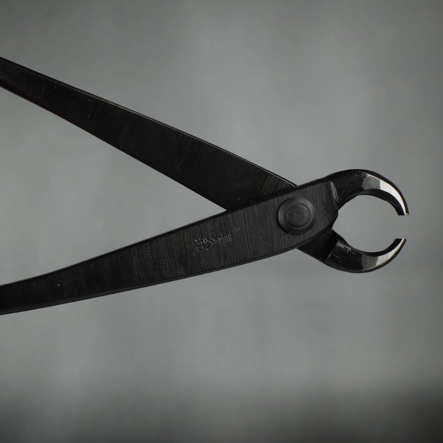 Kikuwa 150mm Narrow Bonsai Knob Cutter
