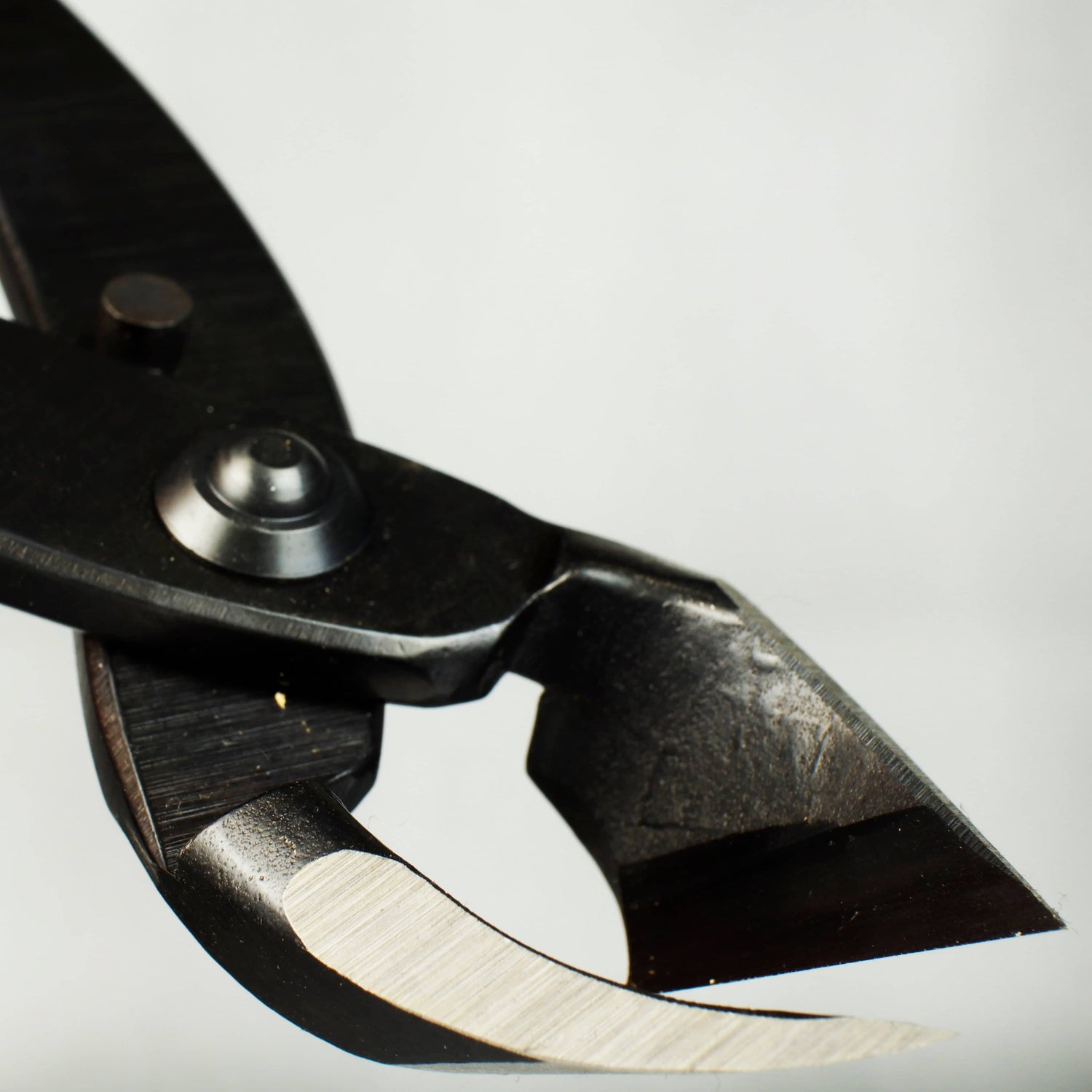 Kikuwa Bonsai Branch Cutter XL 270mm