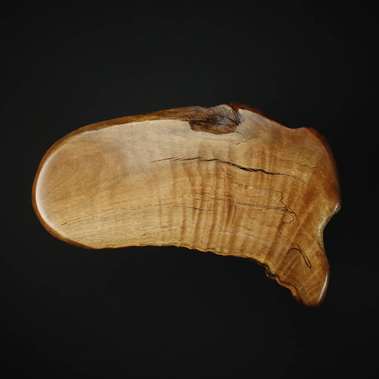 bonsai jita
