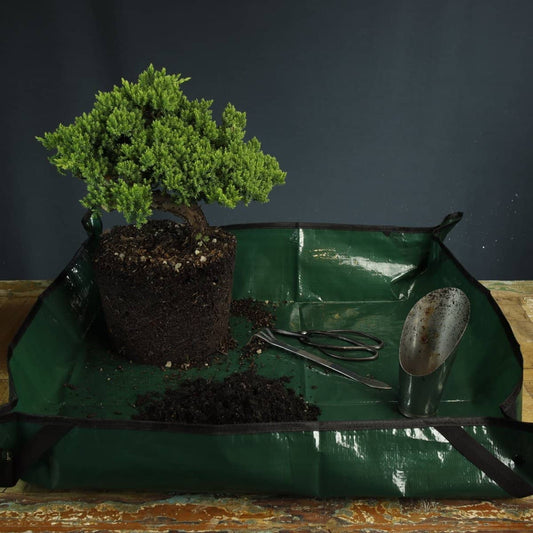 Bonsai Re-Potting Mat 81cm x 81cm - Bonsai-En