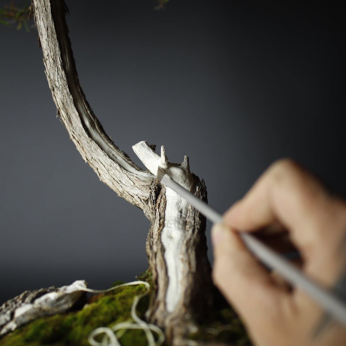 Fine Detail Bonsai Deadwood Cleaning Brush - Bonsai-En