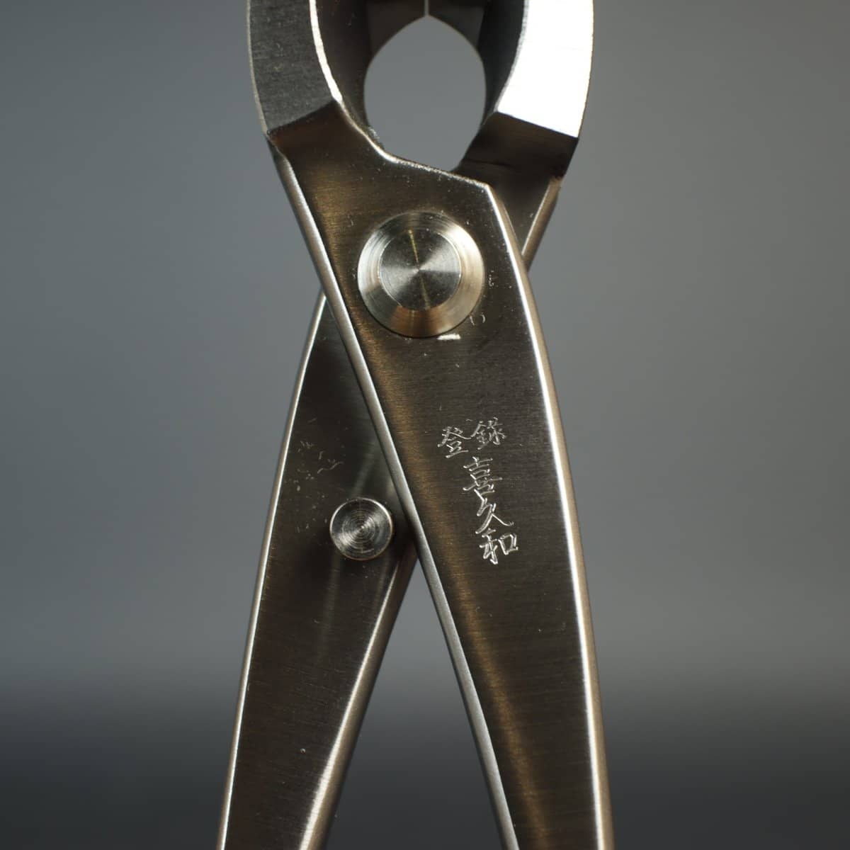 Kikuwa 205mm Stainless Steel Bonsai Branch Cutter - Bonsai-En