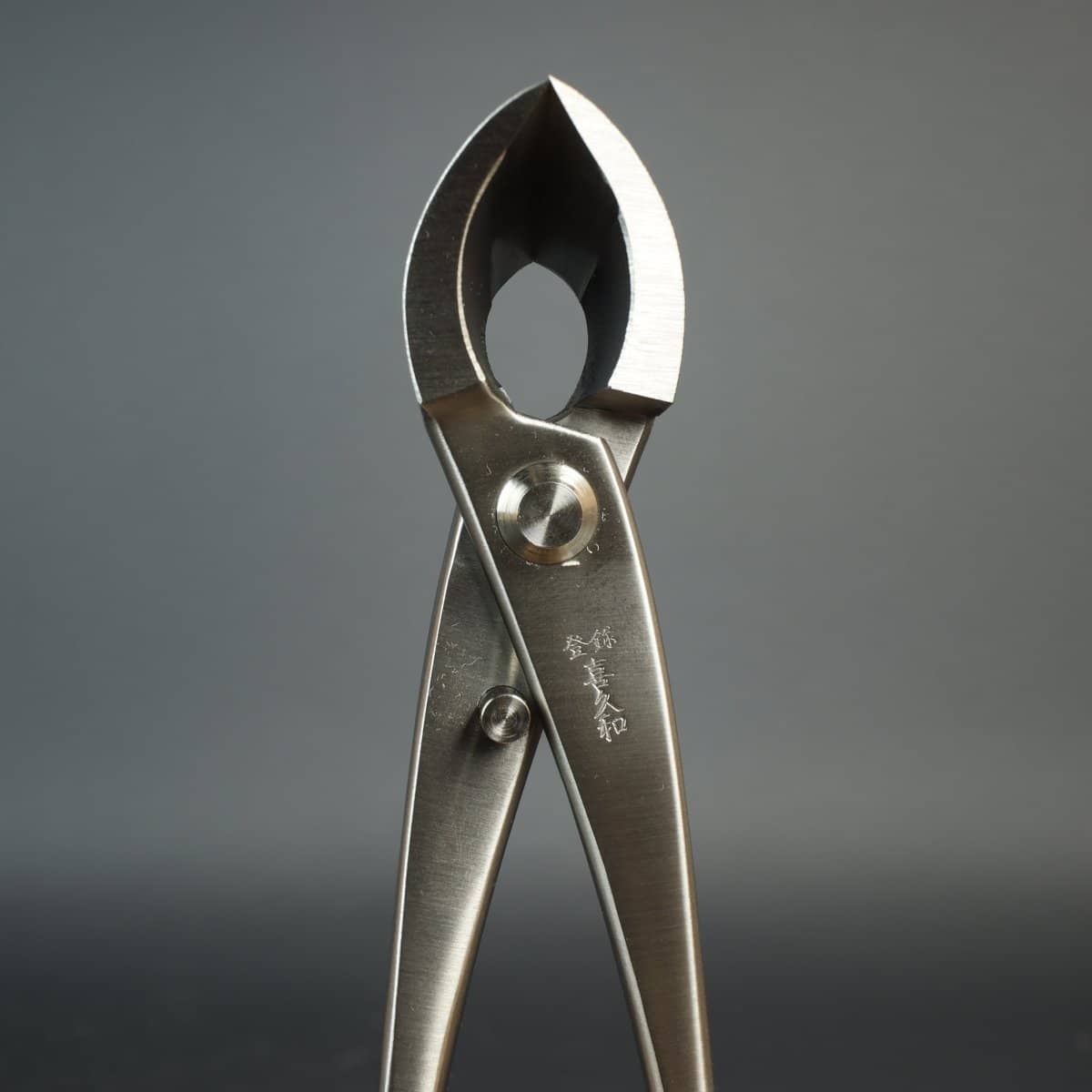 Kikuwa 205mm Stainless Steel Bonsai Branch Cutter - Bonsai-En