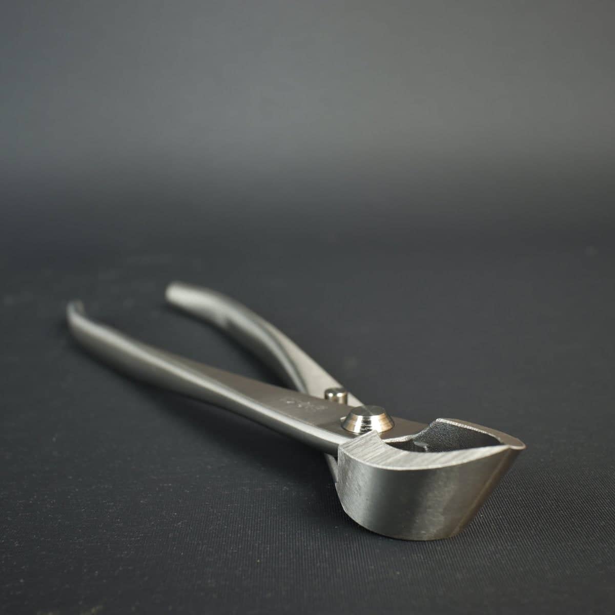 Kikuwa 205mm Stainless Steel Bonsai Branch Cutter - Bonsai-En