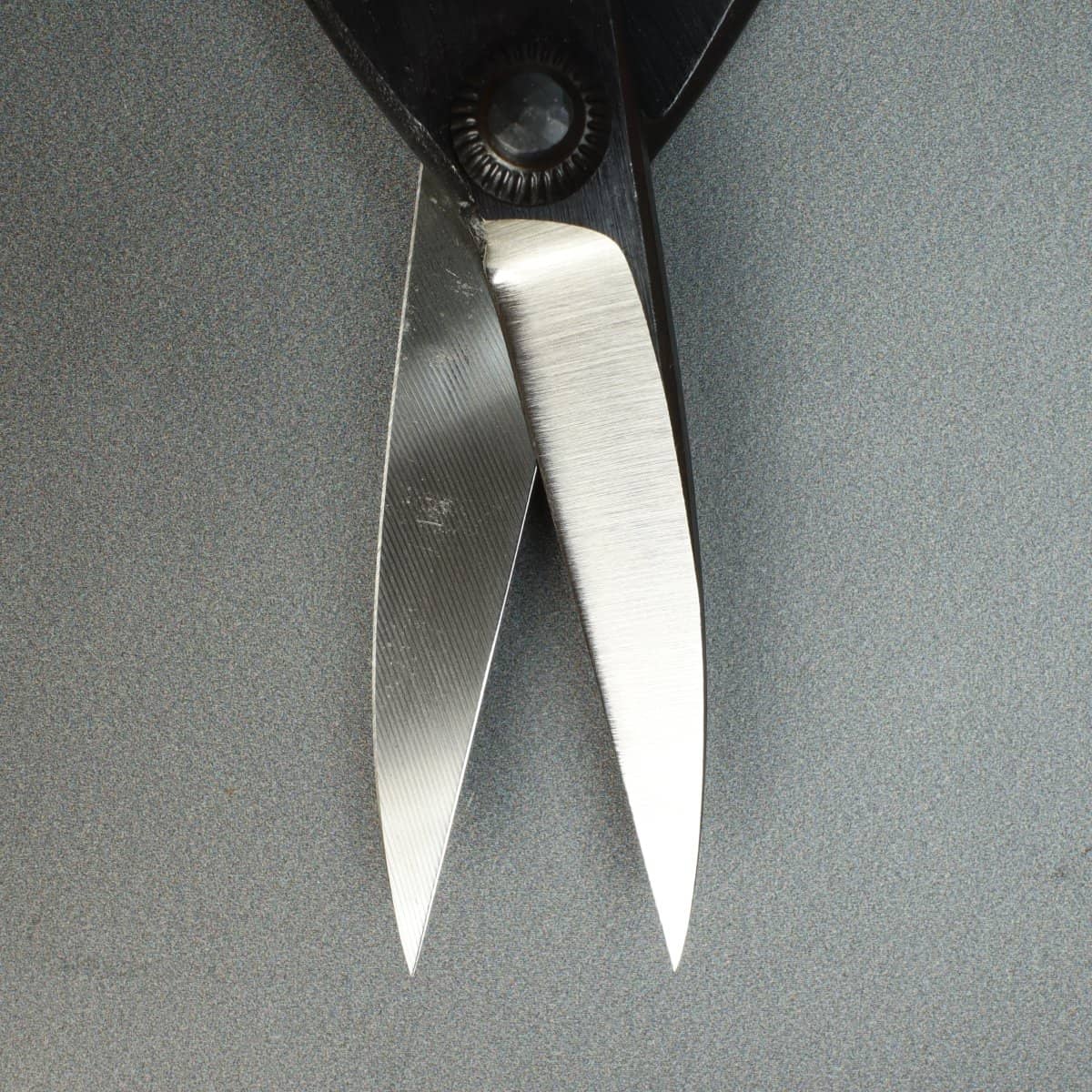 Kikuwa Bonsai Tool Kit 5 Piece Carbon Steel