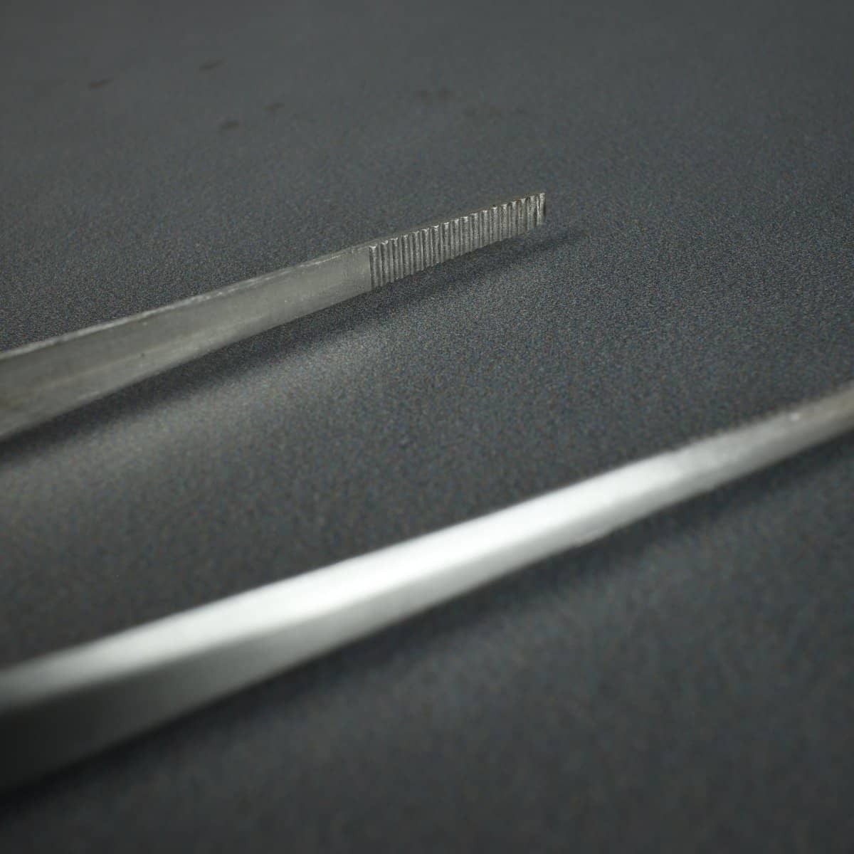Kikuwa Professional Stainless Tweezer / Spatula - Bonsai-En