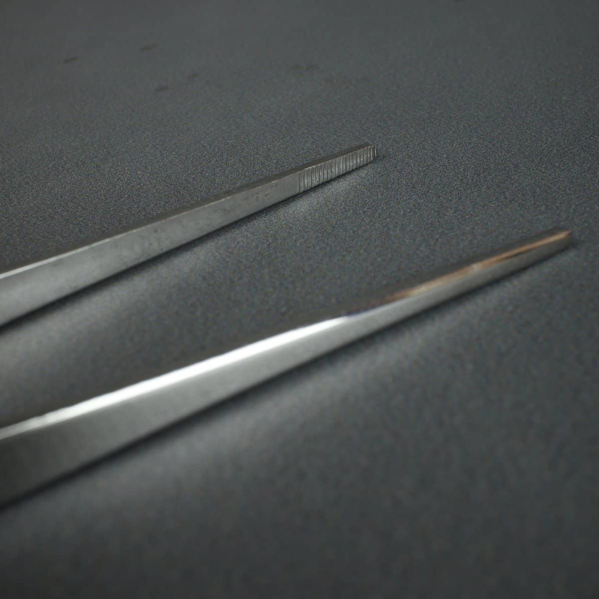 Kikuwa Stainless Tweezer / Spatula - Bonsai-En
