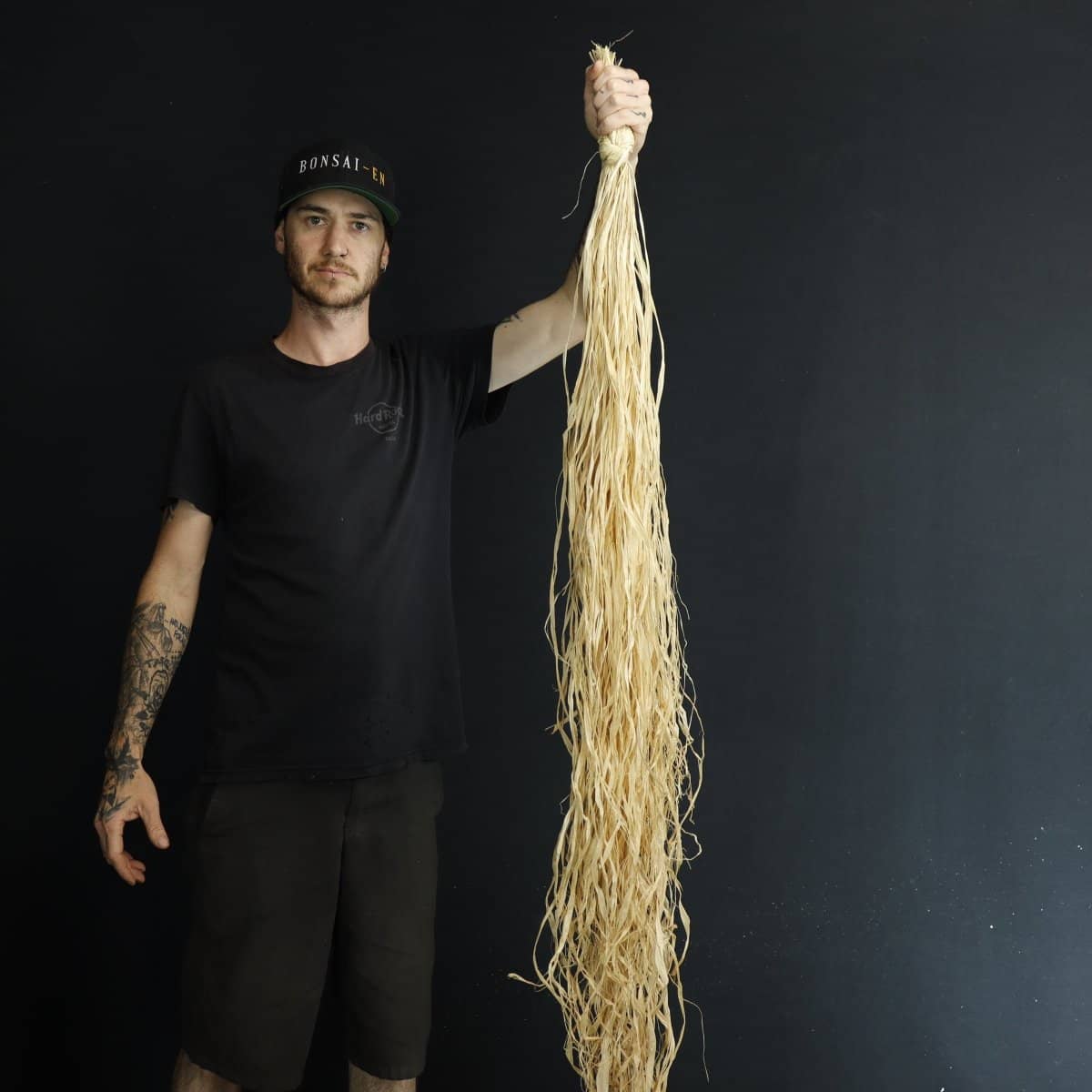 Bonsai Raffia 100g - High Quality | Bonsai-En