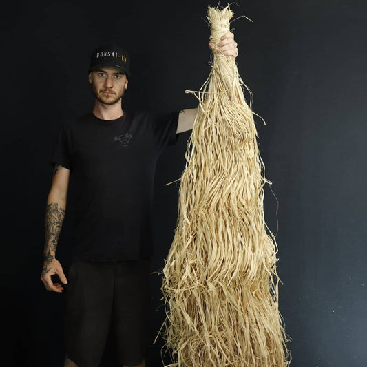 Natural Bonsai Raffia 1KG - Bonsai-En