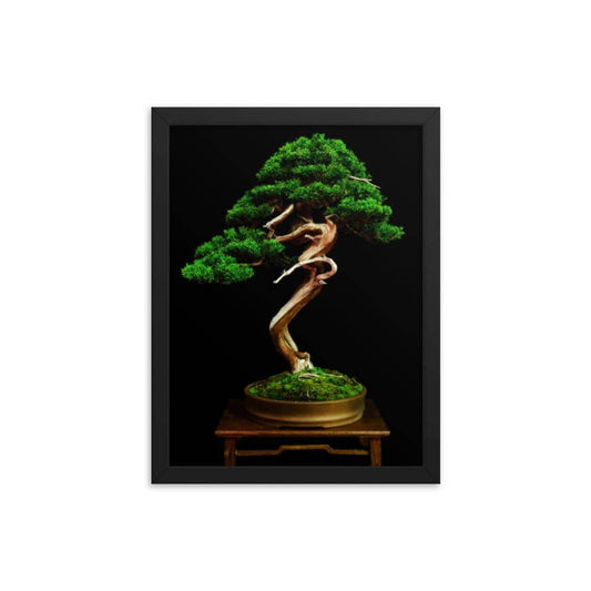 Shimpaku Juniper Display Print - Bonsai-En