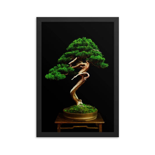Shimpaku Juniper Display Print - Bonsai-En
